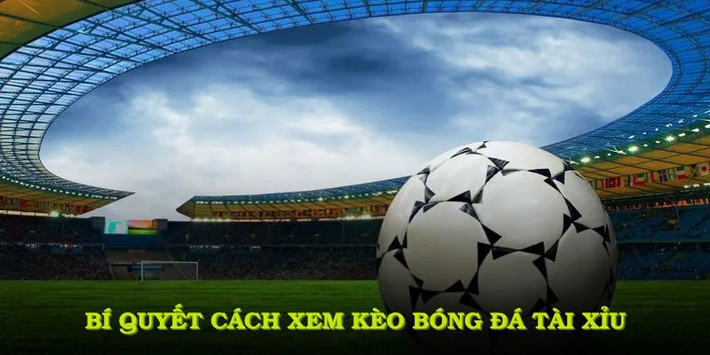 Một số bí quyết khi áp dụng cách xem kèo bóng đá tài xỉu vào thực tế