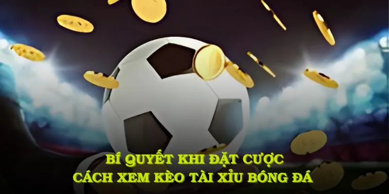 Một số bí quyết khi đặt cược cách xem kèo tài xỉu bóng đá nên áp dụng