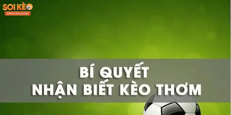 Biến động kèo – dấu hiệu nhận biết kèo thơm và kèo dụ