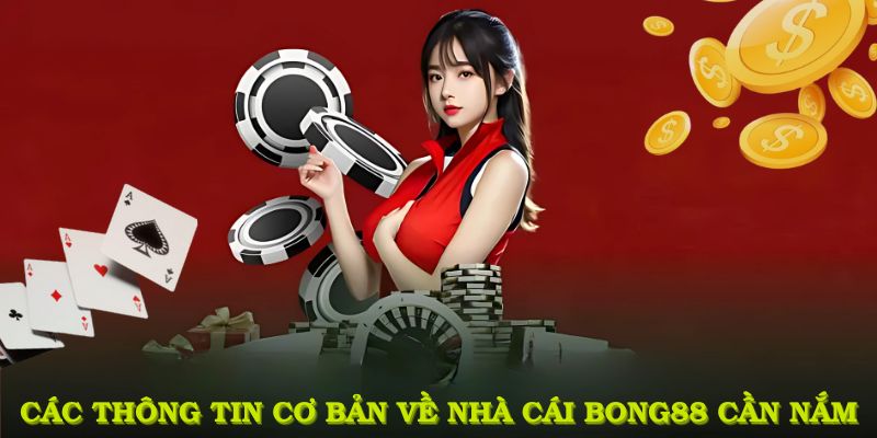 Các thông tin cơ bản về nhà cái BONG88 bạn cần nắm