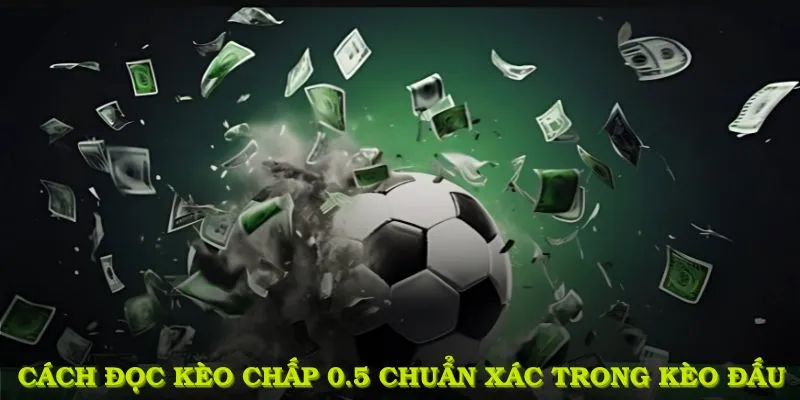 Cách đọc kèo chấp 0.5 chuẩn xác trong kèo đấu dành cho người mới
