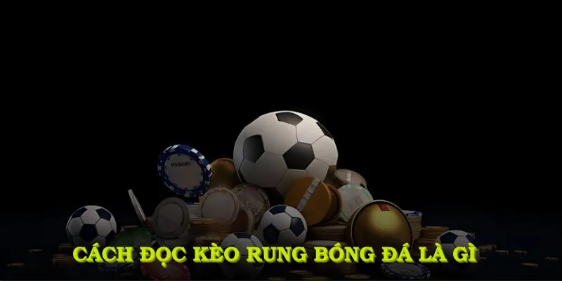 Cách đọc kèo rung bóng đá là gì cần nắm rõ từ trước