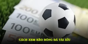 Một số bí quyết khi áp dụng cách xem kèo bóng đá tài xỉu vào thực tế