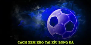 Cách Xem Kèo Tài Xỉu Bóng Đá Và Hiểu Rõ Mọi Tình Huống