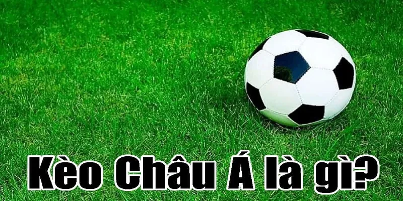 Cách đọc kèo bóng đá châu Á