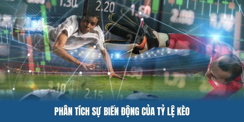 Phân tích sự biến động của tỷ lệ kèo