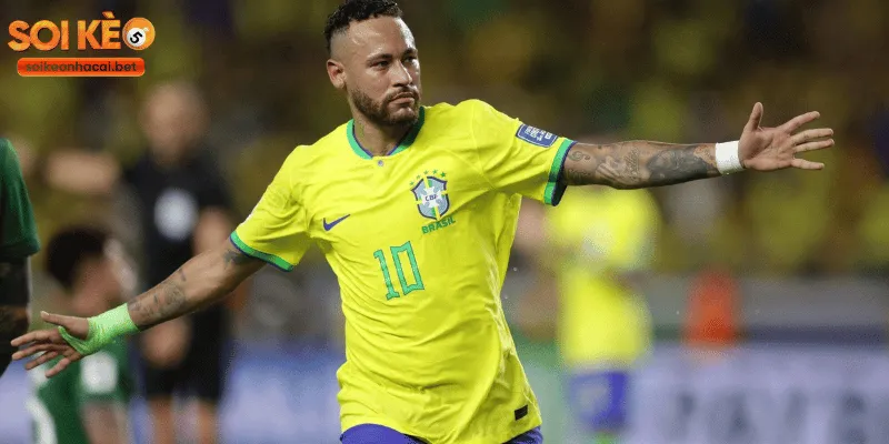 Thành tích cùng đội tuyển Brazil