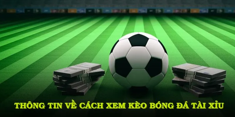 Các thông tin quan trọng về cách xem kèo bóng đá tài xỉu