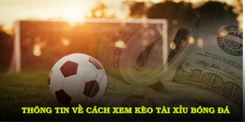 Các thông tin quan trọng về cách xem kèo tài xỉu bóng đá người chơi nên biết